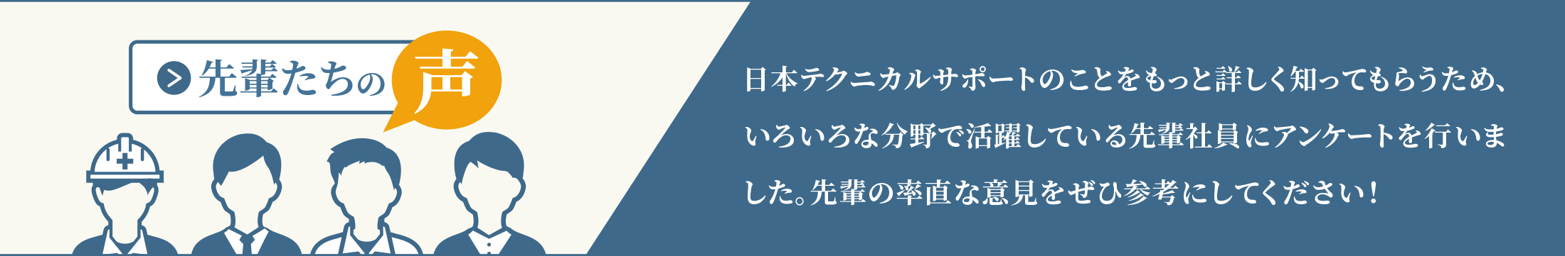 先輩たちの声